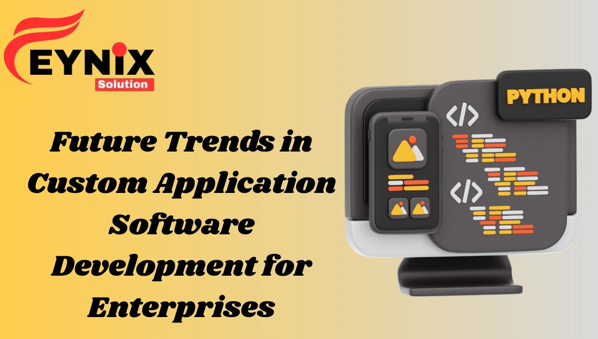 Best Custom Application Software Development