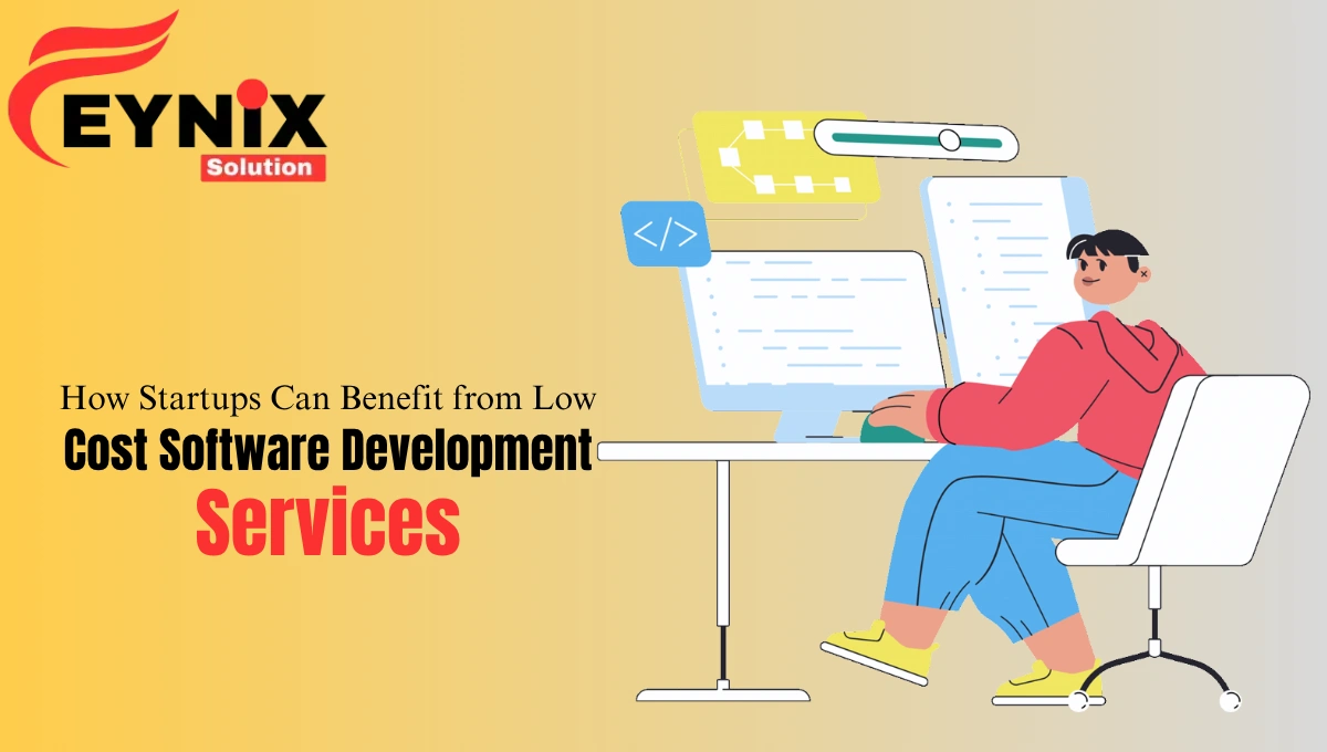 Low Cost Software Development