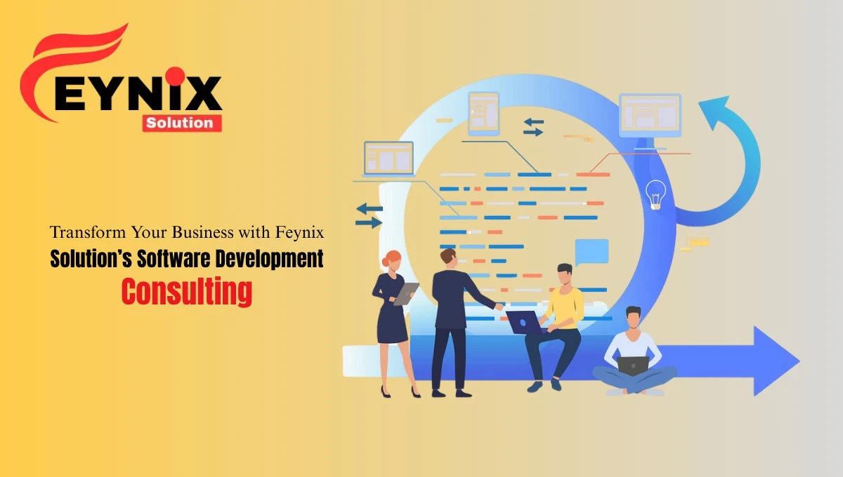 Software Development Consulting