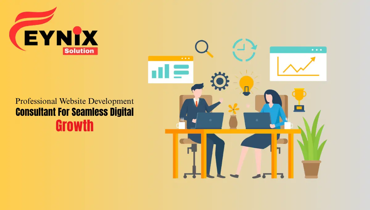 website development consultant