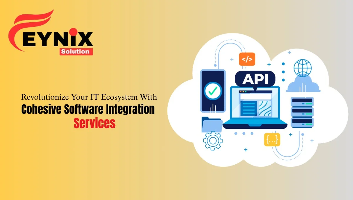 Software Integration Services