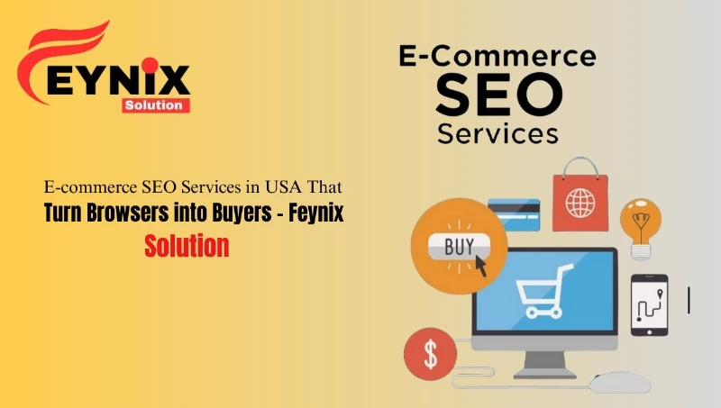 ecommerce seo services in usa