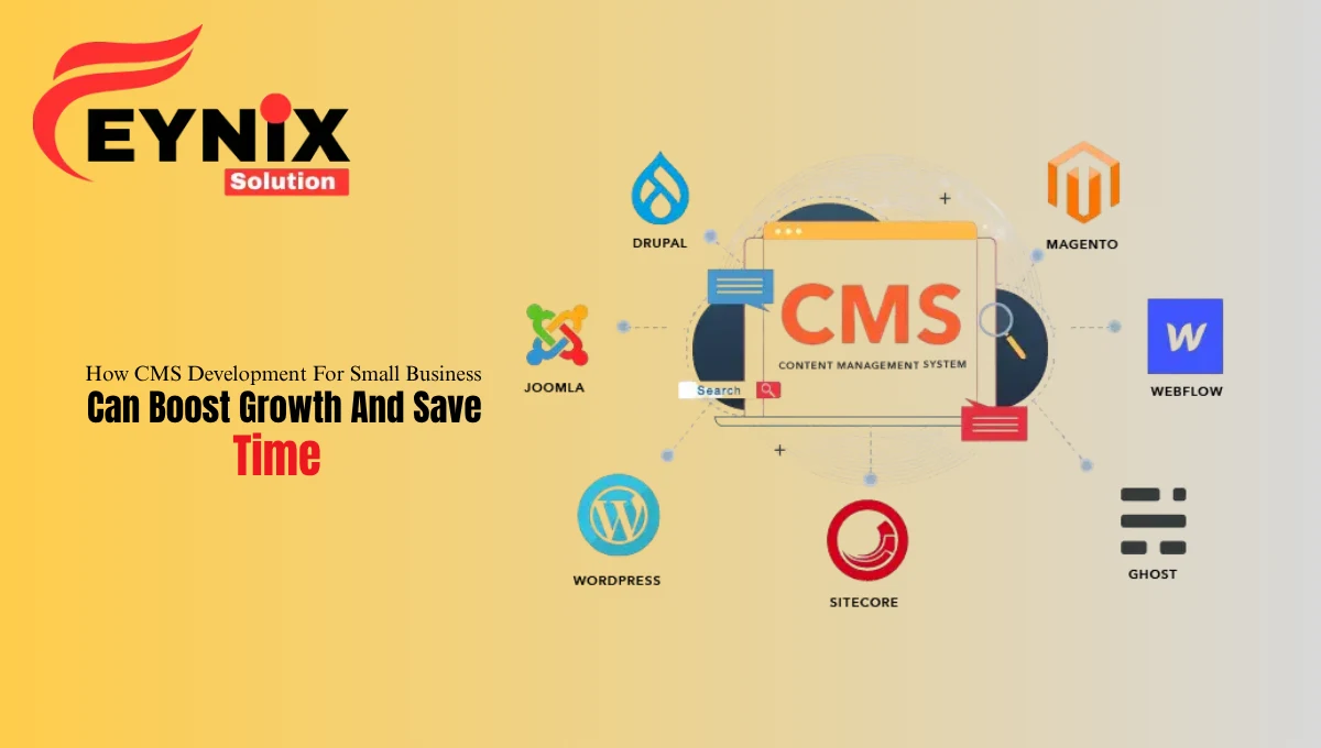 CMS Development For Small Business