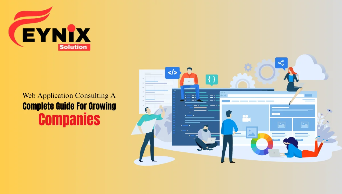 Web Application Consulting