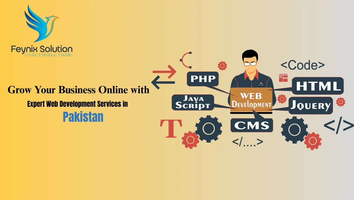 Expert Web Development Services in Pakistan
