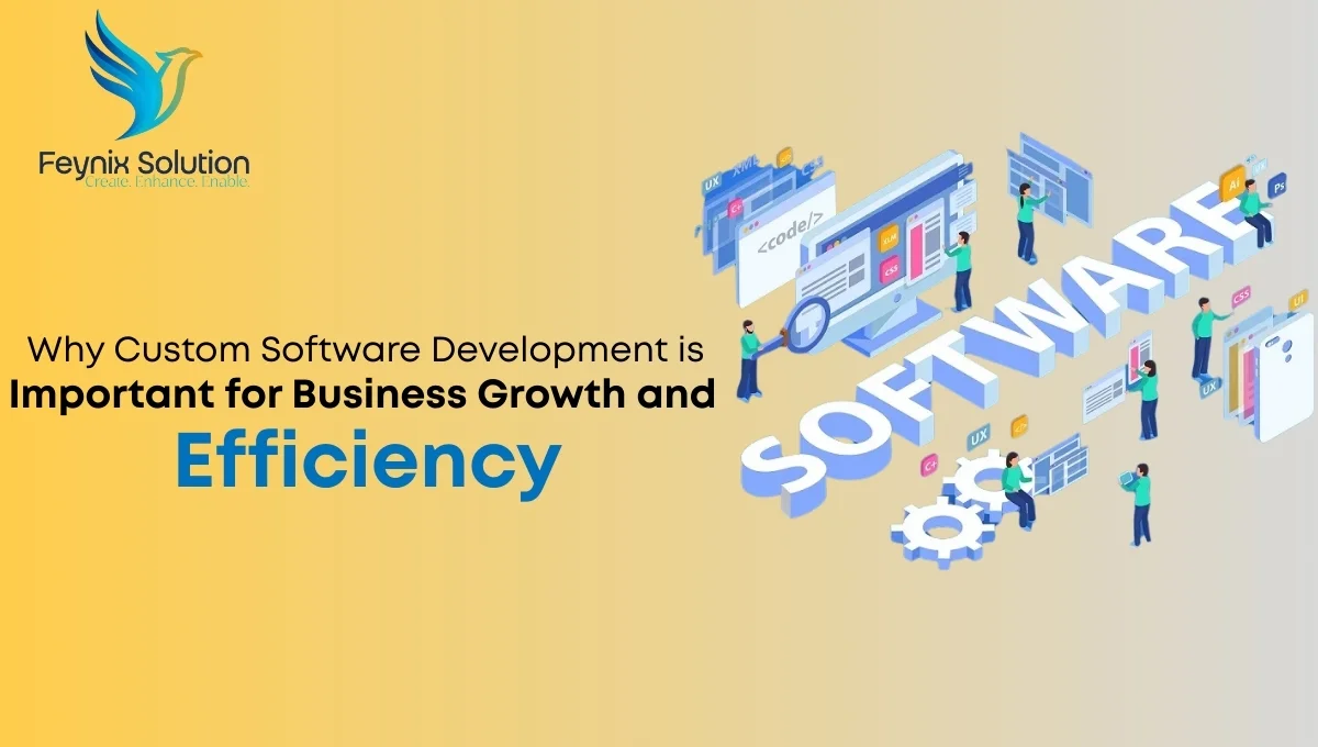 why custom software development is important